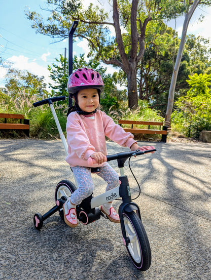 nadle 5-in-1 Foldable Bike (S-900)